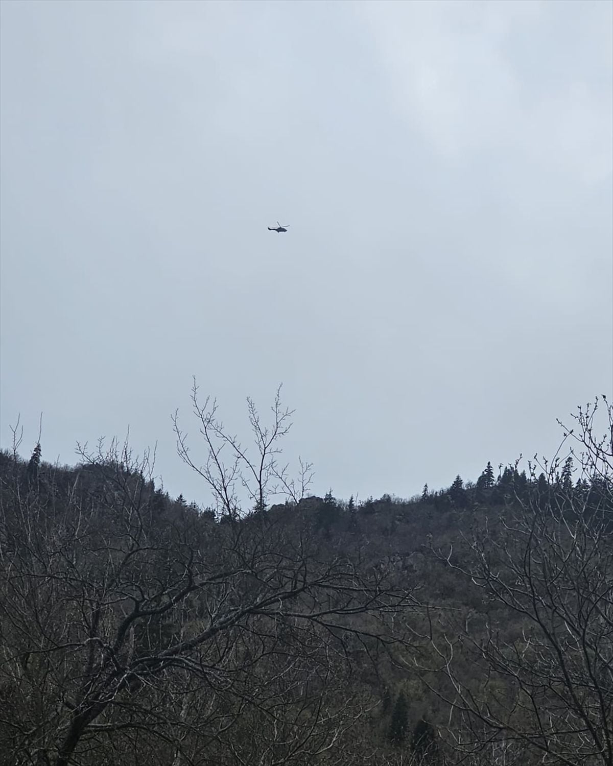 Artvin'de kayalıklardan düşerek yaralanan kişi kurtarıldı