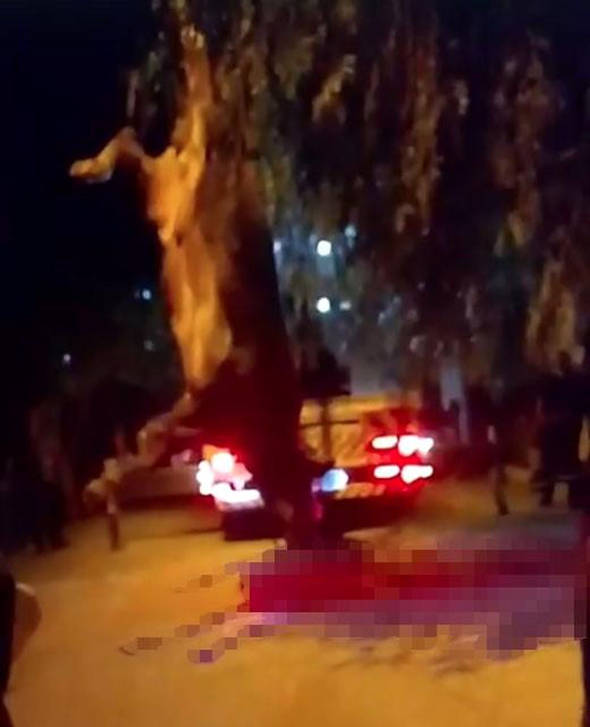 Dereye düşen kurbanlık dana vinçle kurtarıldı