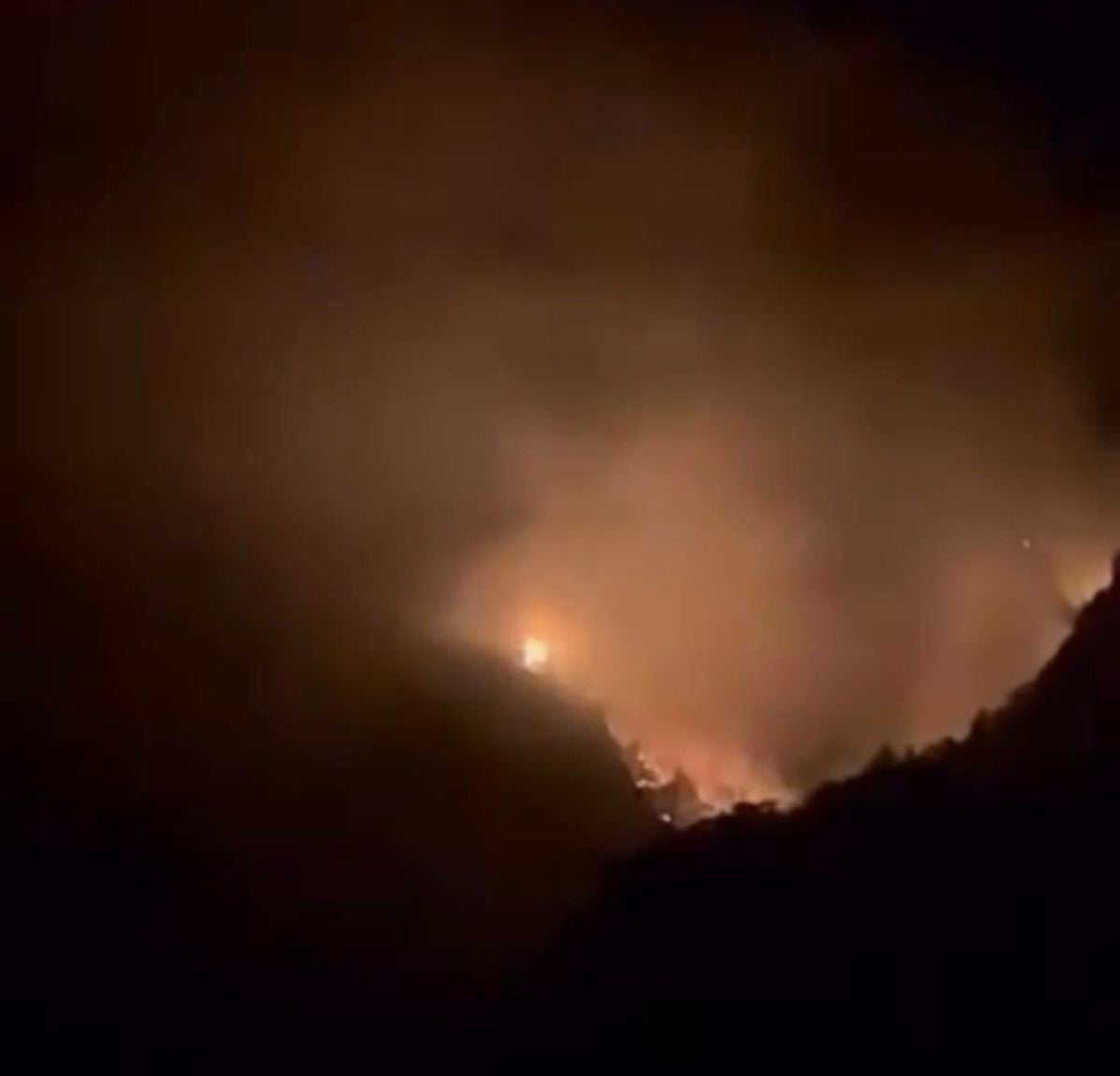 Karaisalı’da ormanlık alanda yangın