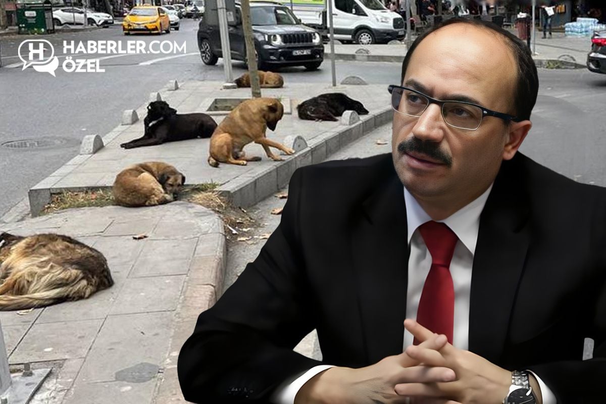 Köpeklerle ilgili sözleri gündem yaratan Osman Mesten'den ilk açıklama