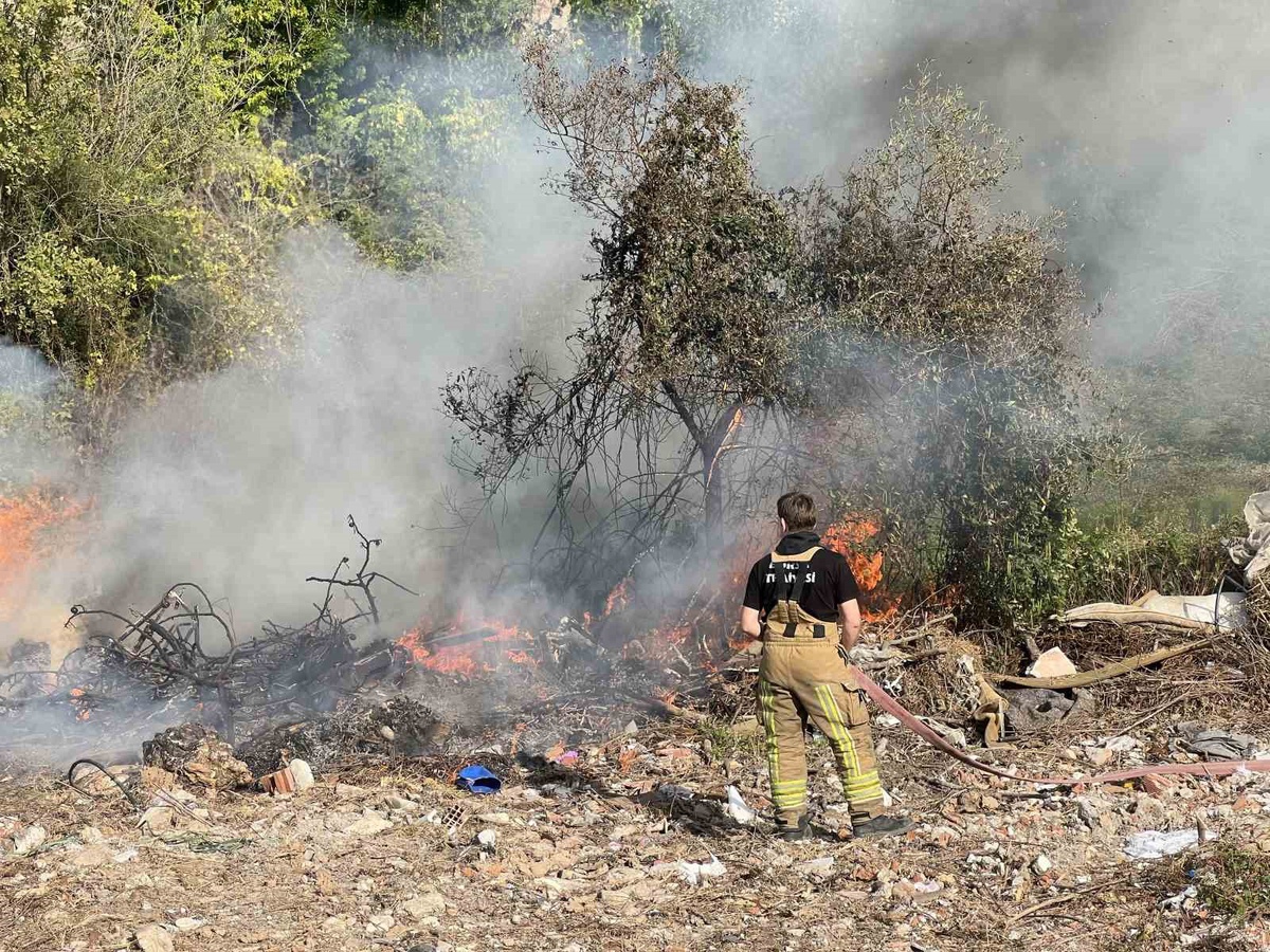 Mudanya'da orman yangını, Yunus Timleri'nin dumanı fark etmesiyle büyümeden söndürüldü.