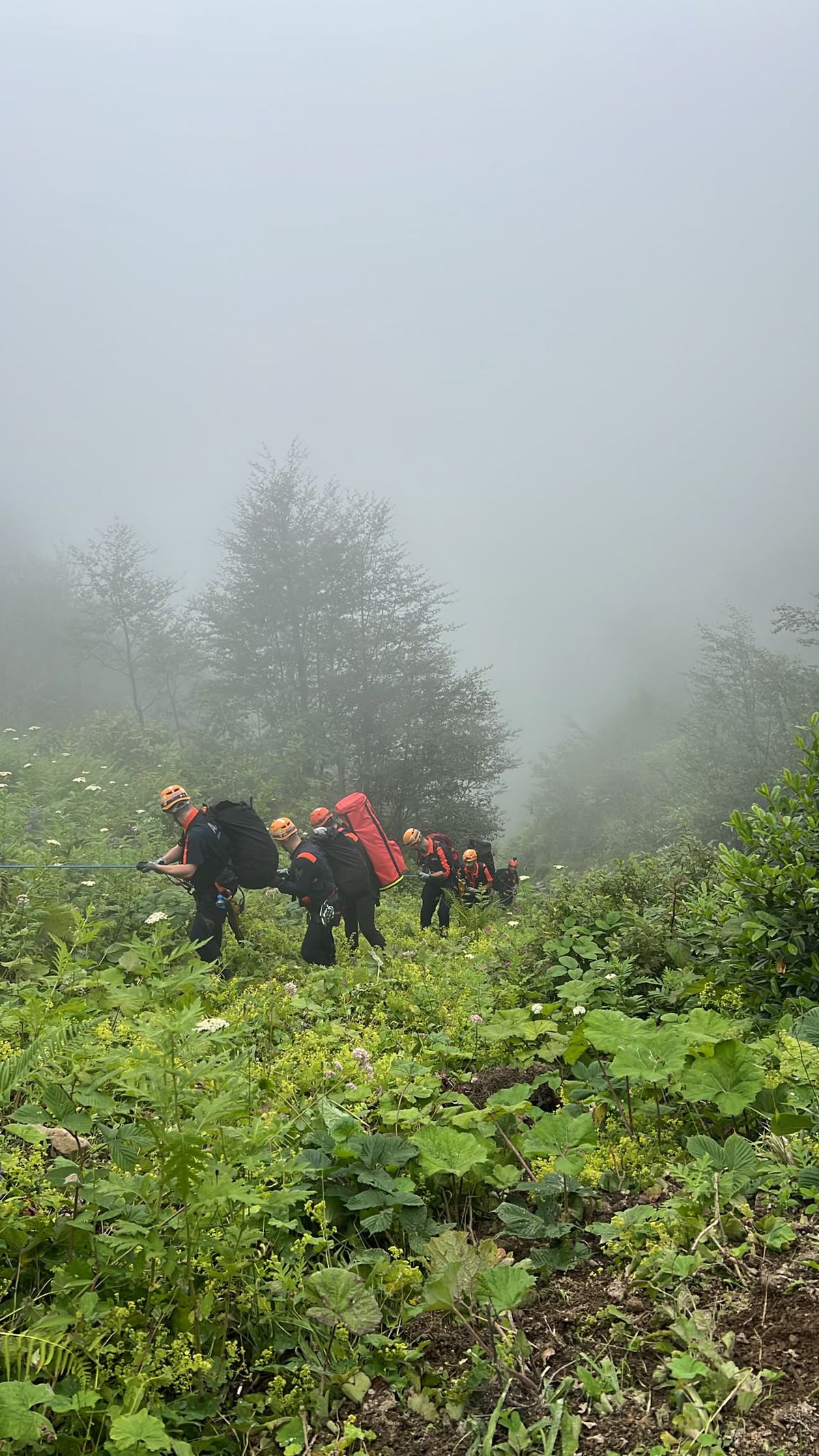 Rize'de kayıp 86 yaşındaki adam uçurumda ölü bulundu