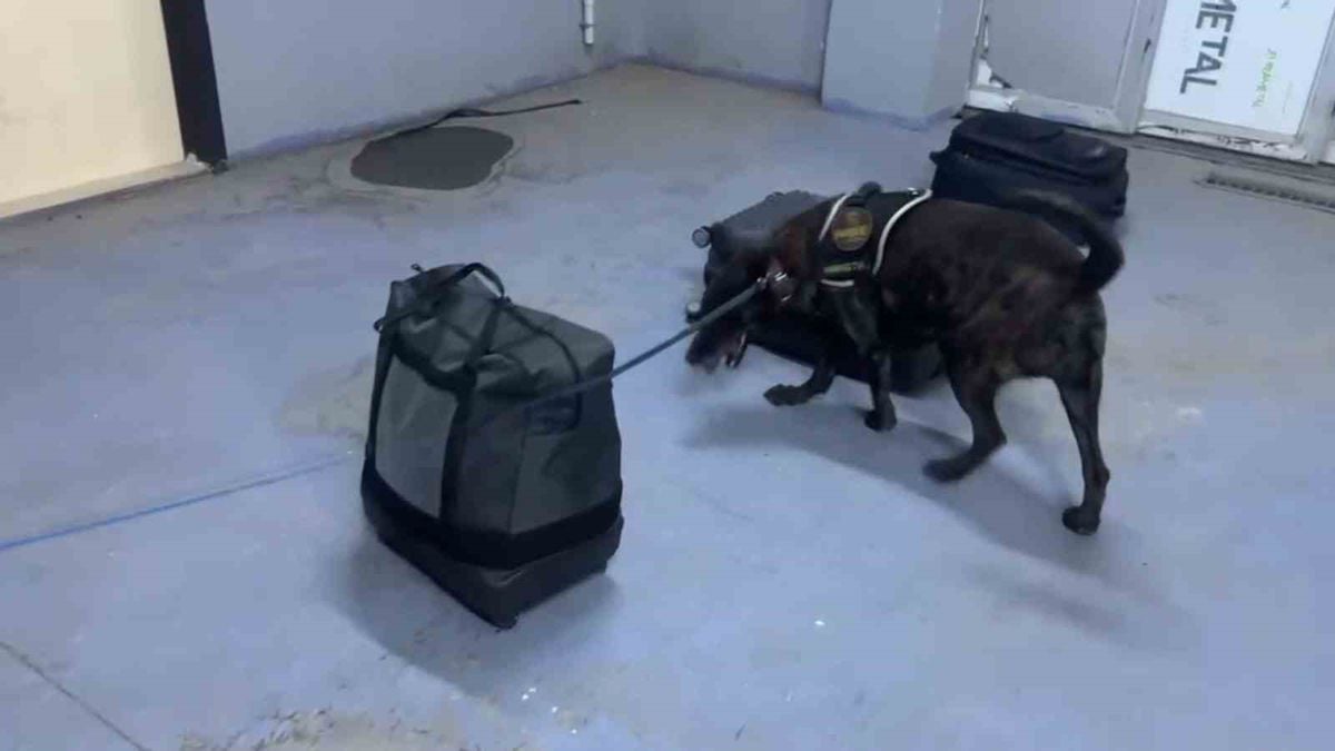 Silopi'de Valizde 7 Kilo Metamfetamin Ele Geçirildi