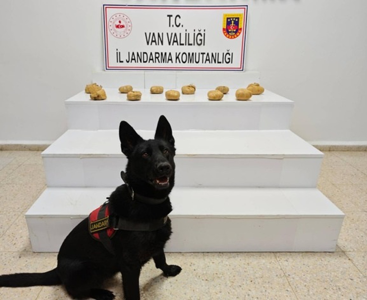 Van Başkale'de jandarma operasyonunda 11 kilo 958 gram toz esrar ele geçirildi